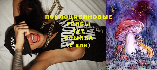 не бодяженный Горнозаводск