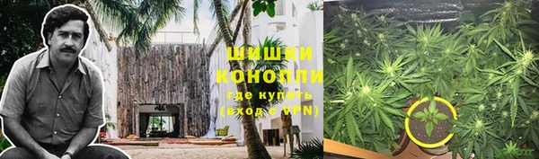 экстази Горняк