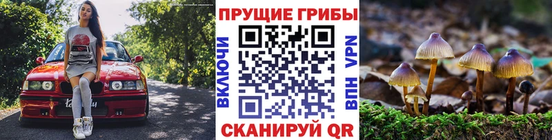 Псилоцибиновые грибы мухоморы  Заозёрск 